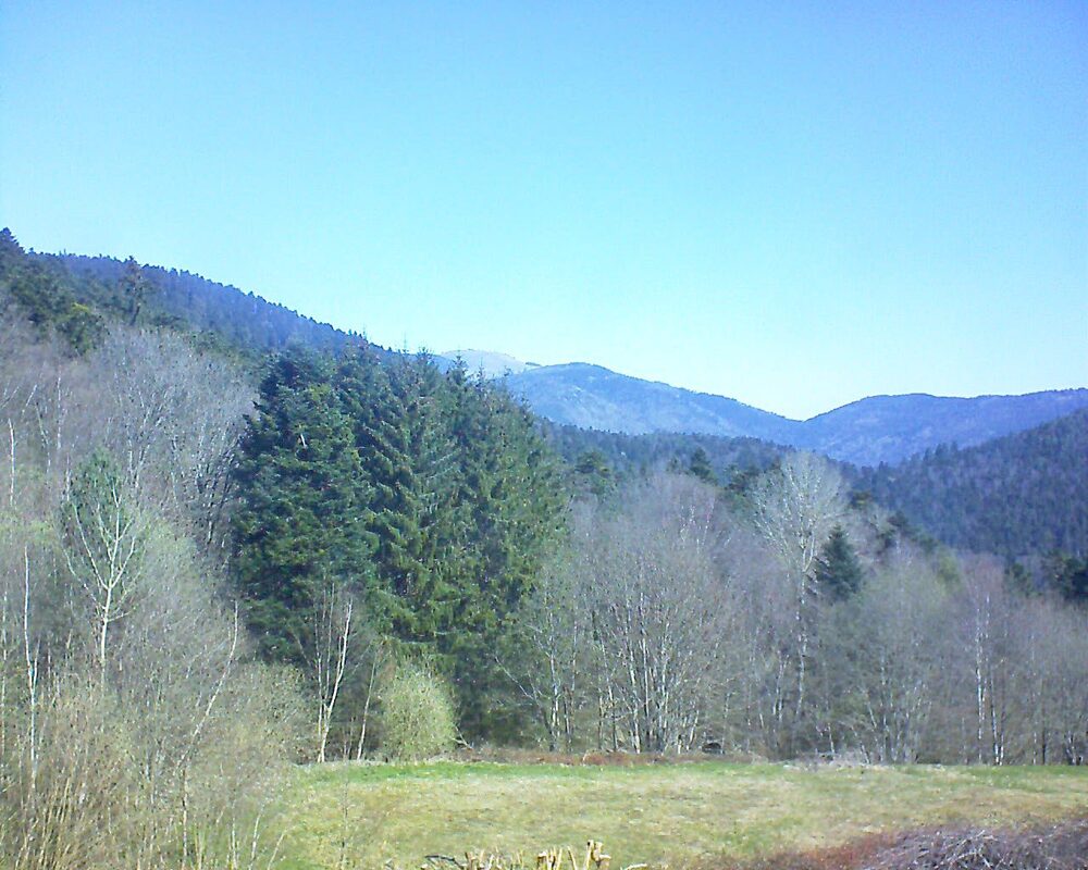 Le petit ballon (Alsace, Vosges) le 06.04.2025 à 11:15