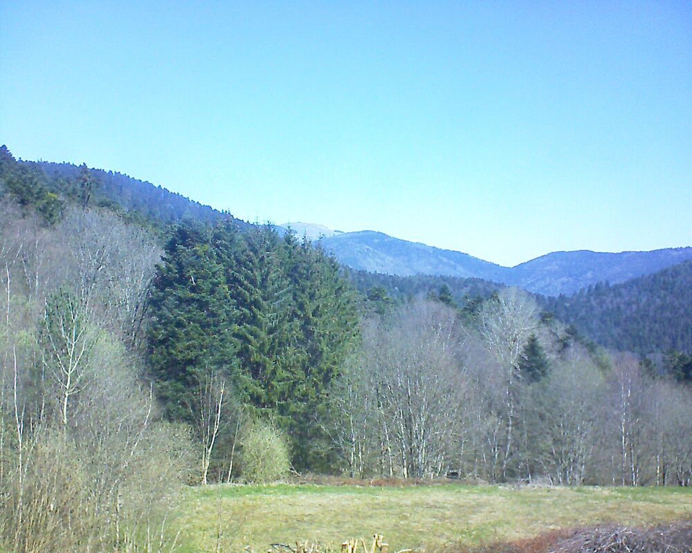 Le petit ballon (Alsace, Vosges) le 06.04.2025 à 11:30