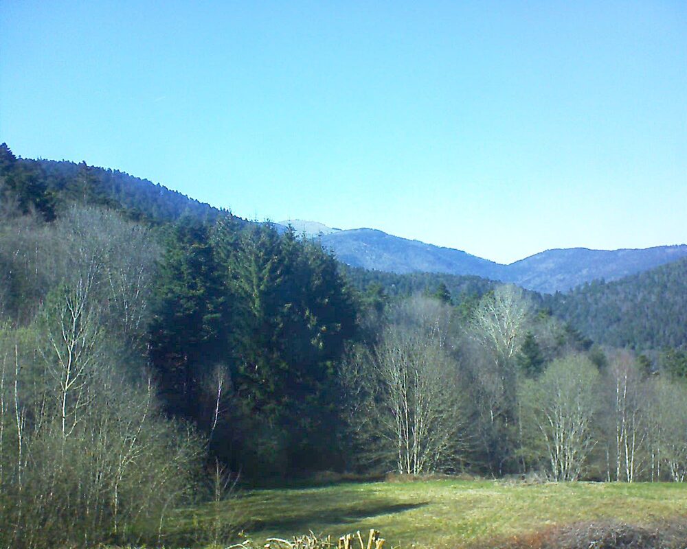 Le petit ballon vu depuis le Domaine Langmatt à Murbach le 06.04.2025 à 16:45 Le petit ballon (Alsace, Vosges) le 06.04.2025 à 16:45