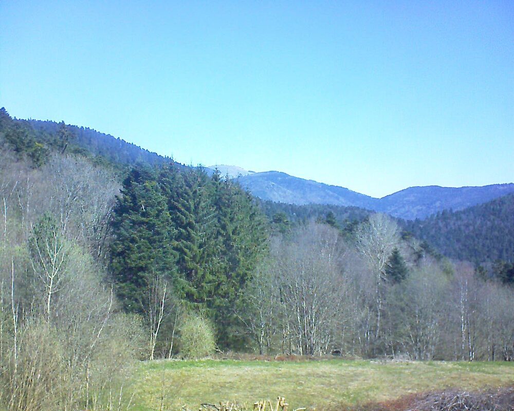 Le petit ballon (Alsace, Vosges) le 07.04.2025 à 11:15