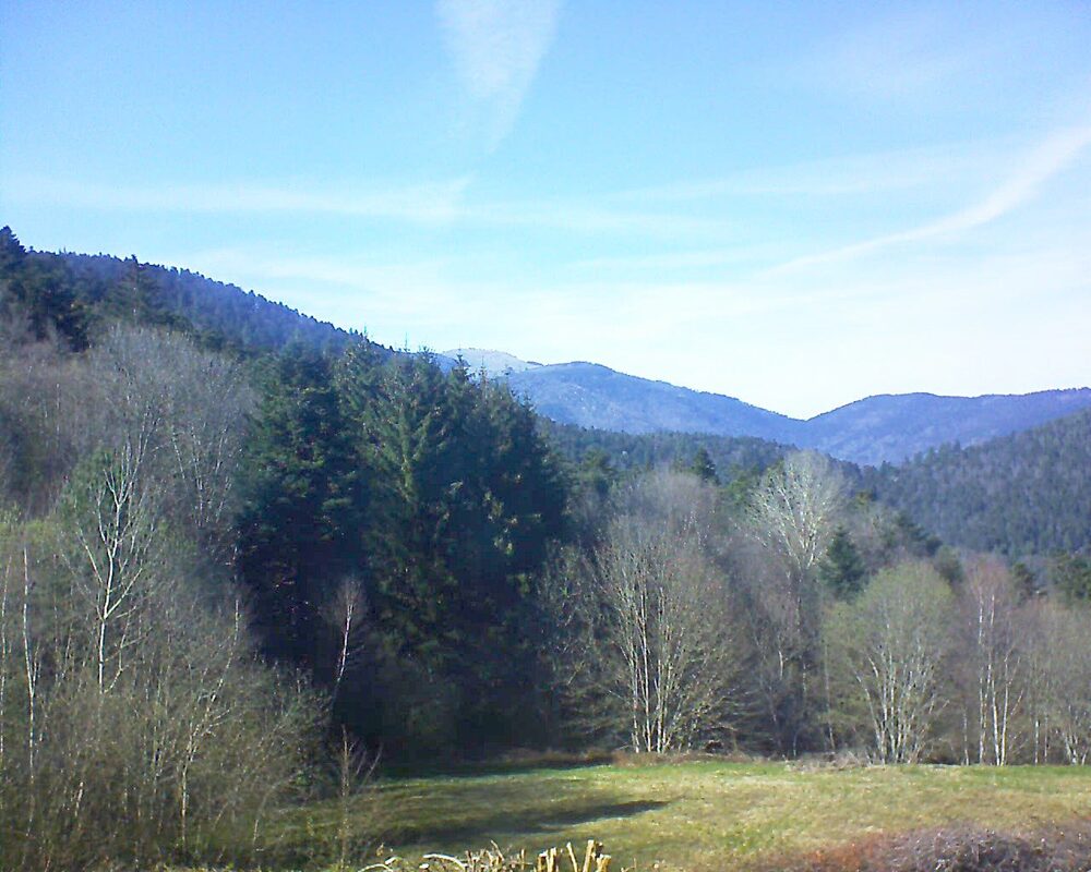 Le petit ballon vu depuis le Domaine Langmatt à Murbach le 08.04.2025 à 16:45 Le petit ballon (Alsace, Vosges) le 08.04.2025 à 16:45
