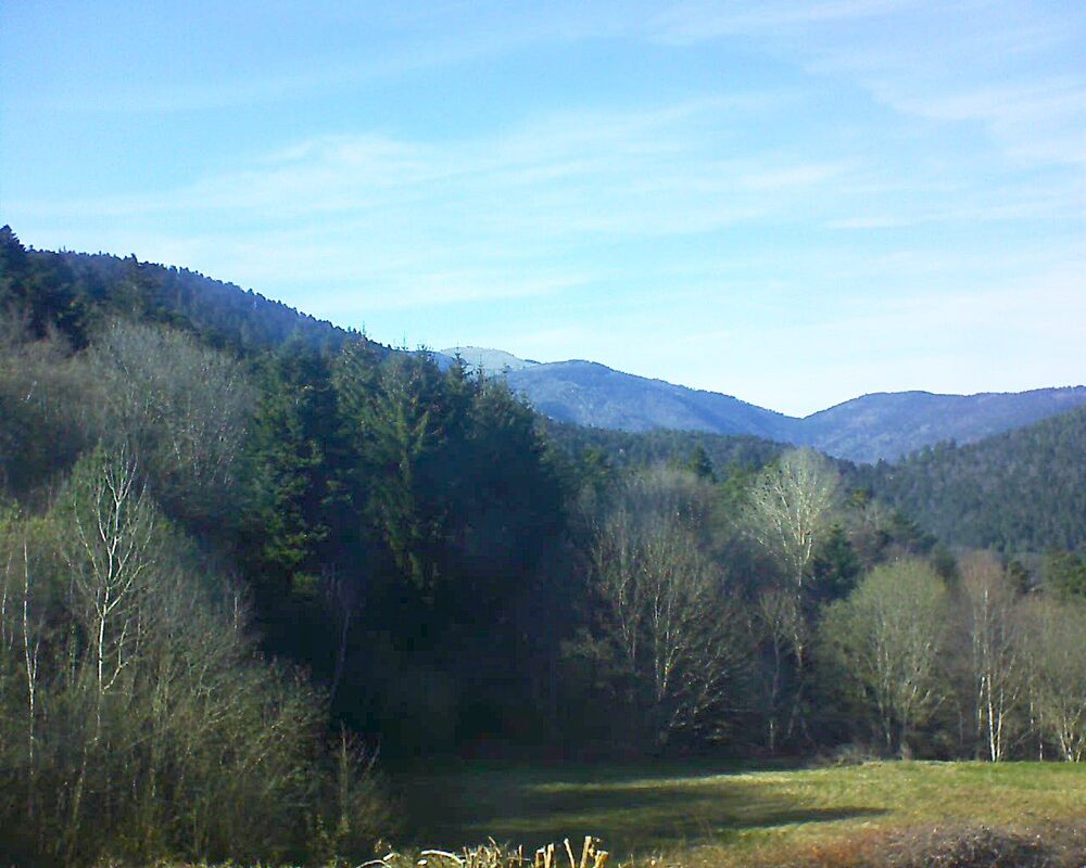 Le petit ballon (Alsace, Vosges) le 08.04.2025 à 17:30