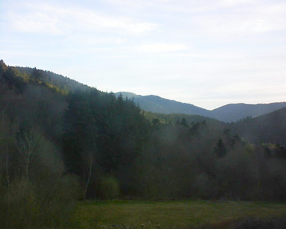 Le petit ballon (Alsace, Vosges) le 09.04.2025 à 07:30