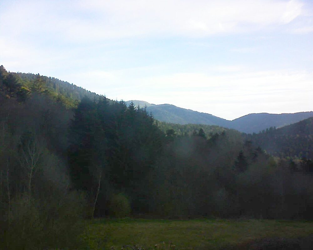 Le petit ballon (Alsace, Vosges) le 09.04.2025 à 08:15