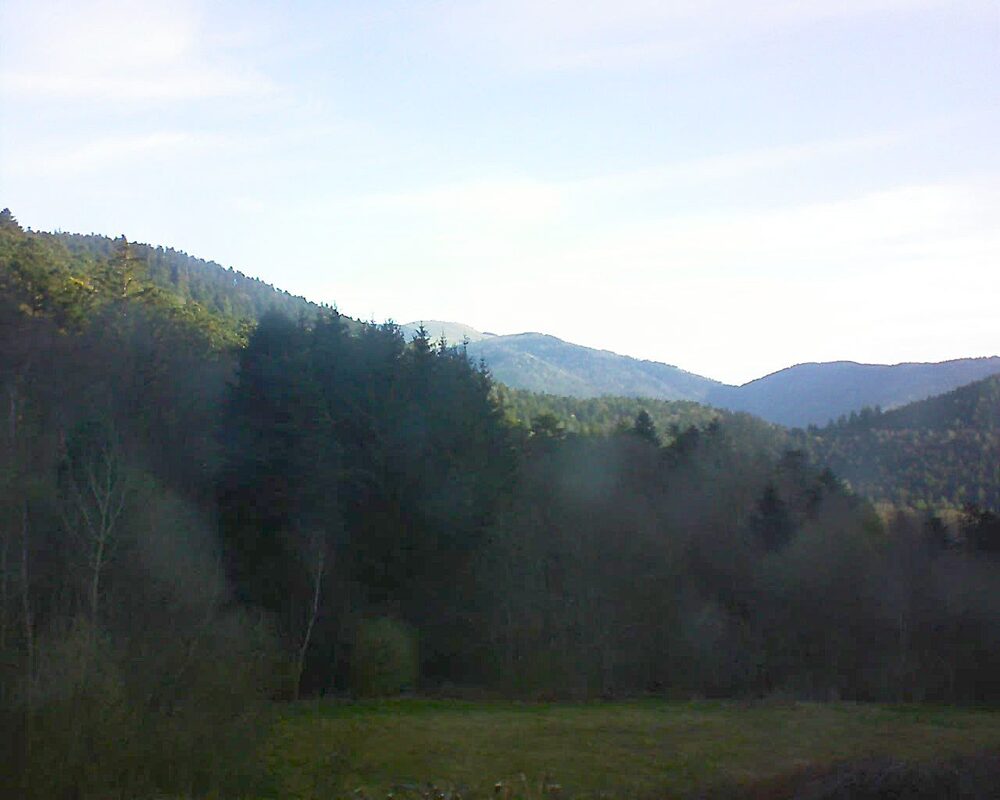 Le petit ballon (Alsace, Vosges) le 09.04.2025 à 08:30
