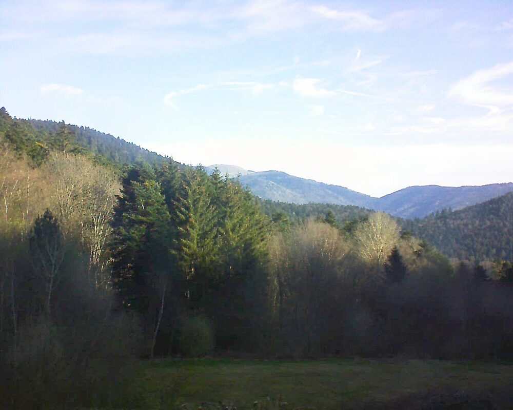 Le petit ballon (Alsace, Vosges) le 09.04.2025 à 09:15