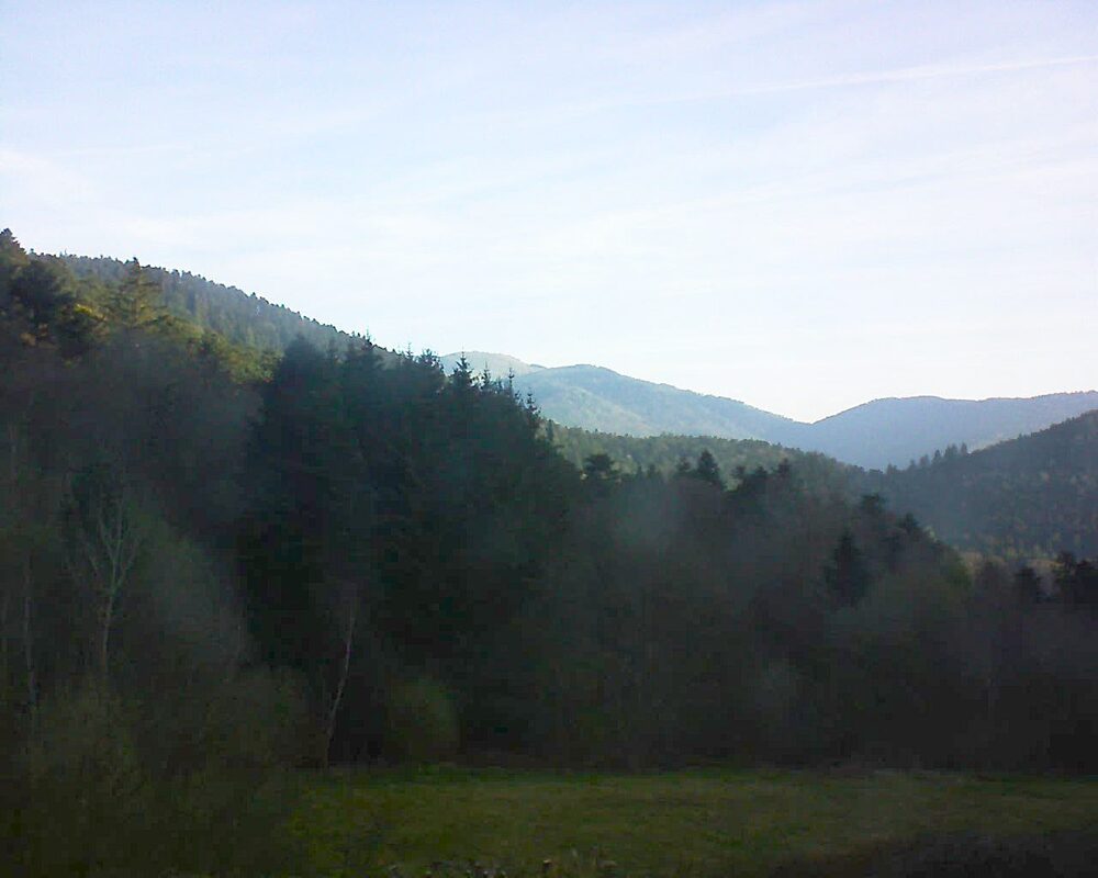 Le petit ballon (Alsace, Vosges) le 10.04.2025 à 08:15