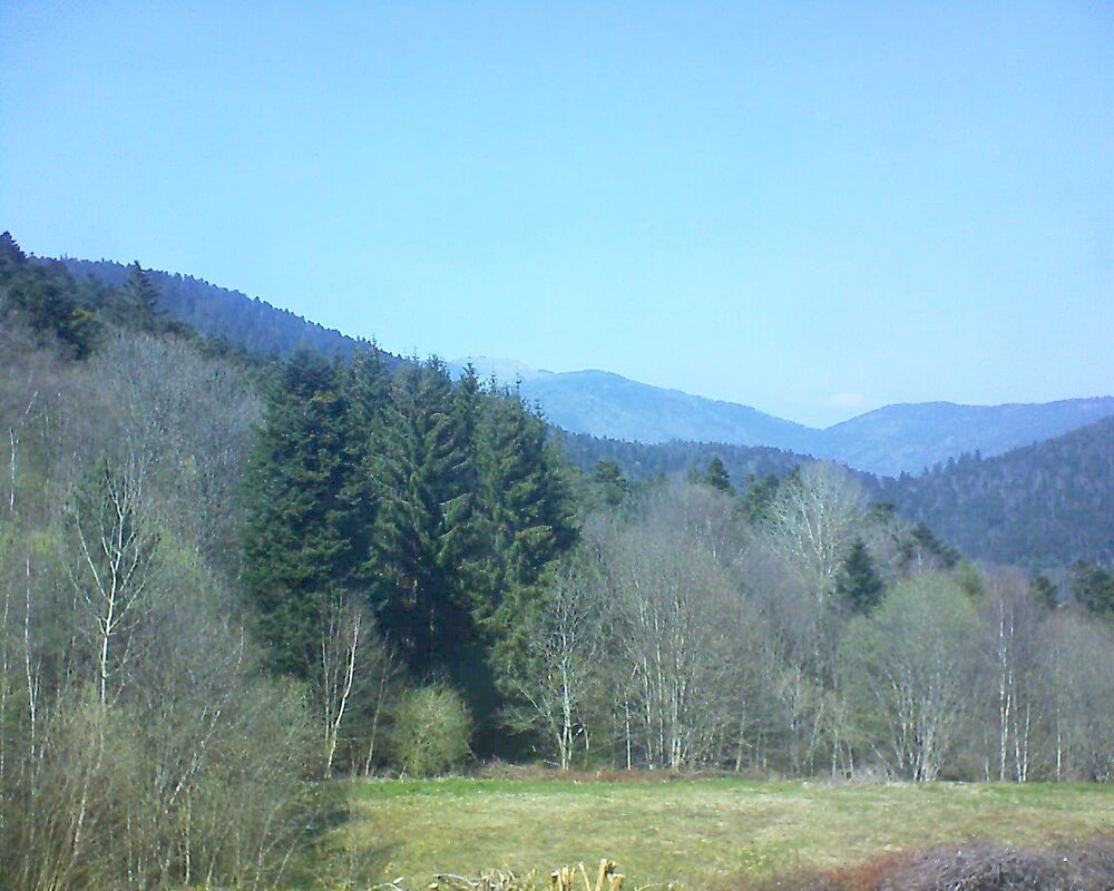 Le petit ballon vu depuis le Domaine Langmatt à Murbach le 10.04.2025 à 14:45 Le petit ballon (Alsace, Vosges) le 10.04.2025 à 14:45