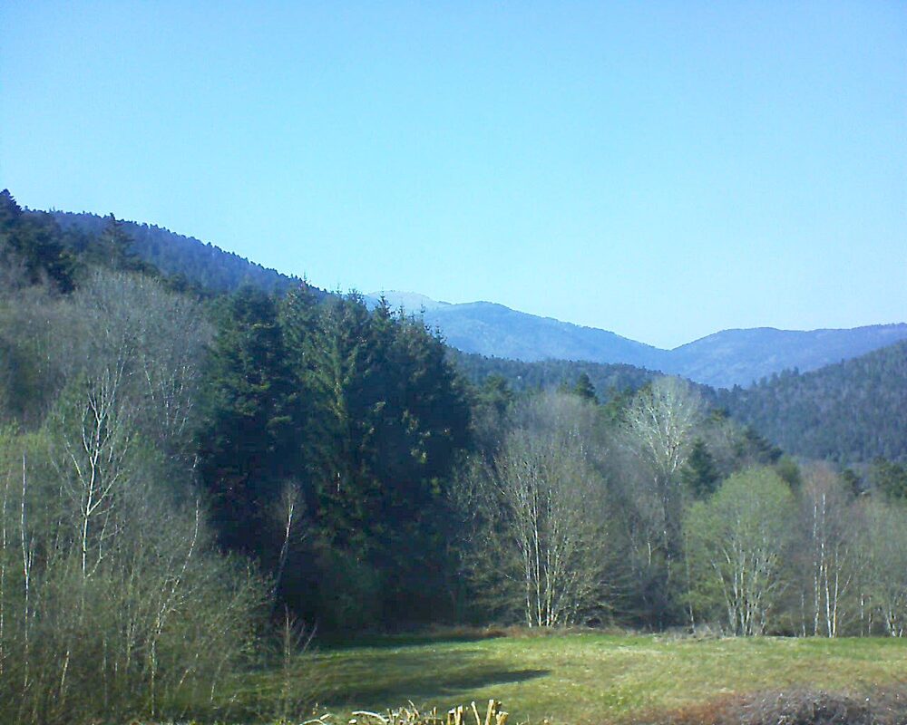 Le petit ballon (Alsace, Vosges) le 11.04.2025 à 16:45