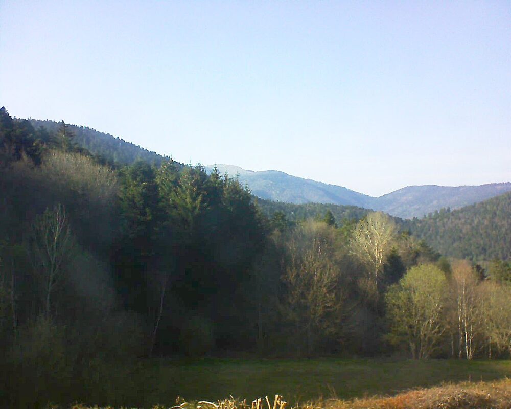 Le petit ballon (Alsace, Vosges) le 11.04.2025 à 17:45