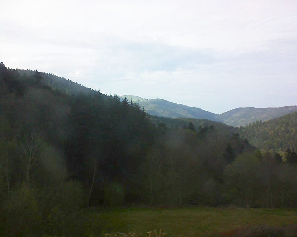 Le petit ballon (Alsace, Vosges) le 12.04.2025 à 18:15