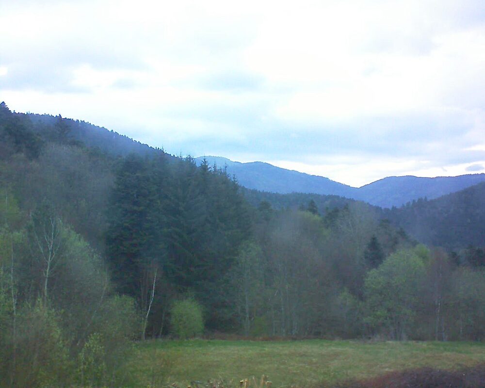 Le petit ballon (Alsace, Vosges) le 13.04.2025 à 07:30