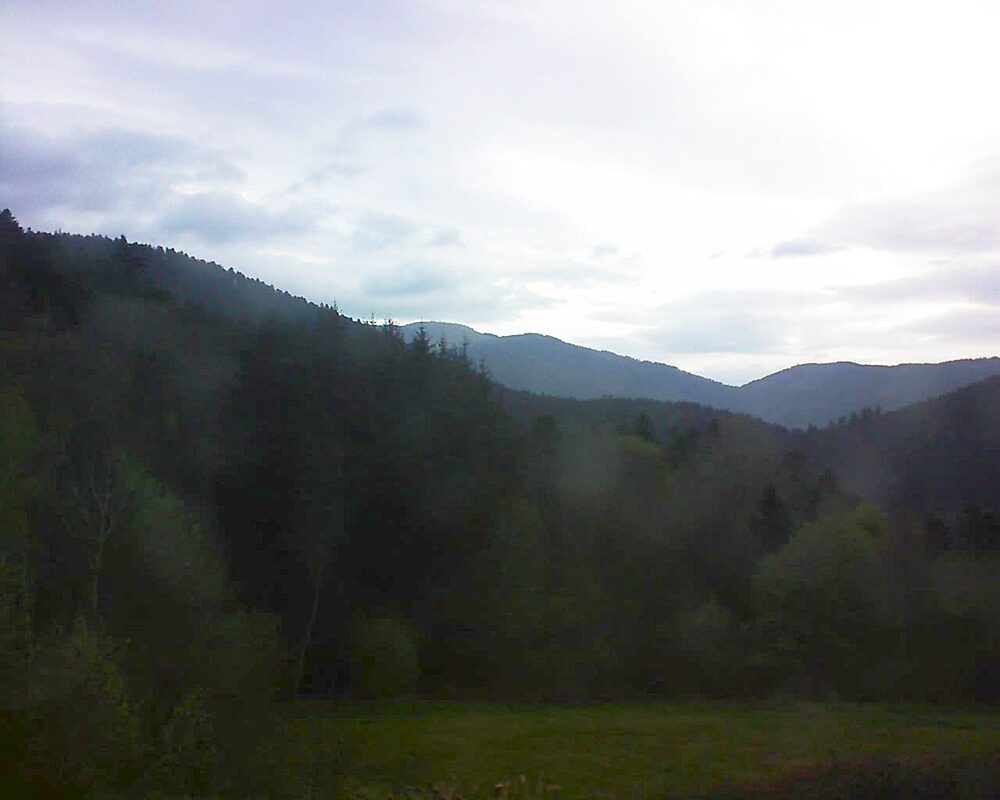 Le petit ballon (Alsace, Vosges) le 13.04.2025 à 08:15