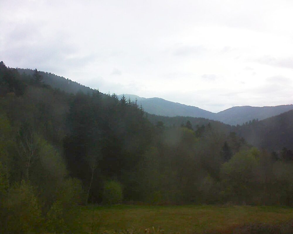 Le petit ballon (Alsace, Vosges) le 13.04.2025 à 08:30
