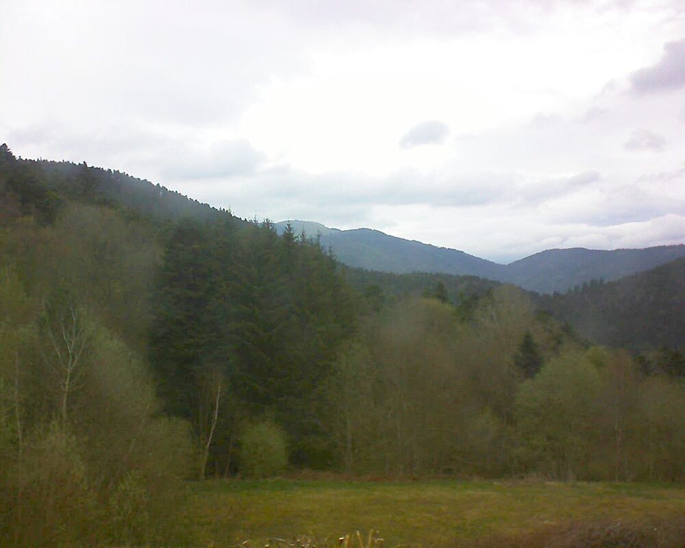 Le petit ballon vu depuis le Domaine Langmatt à Murbach le 13.04.2025 à 10:15 Le petit ballon (Alsace, Vosges) le 13.04.2025 à 10:15