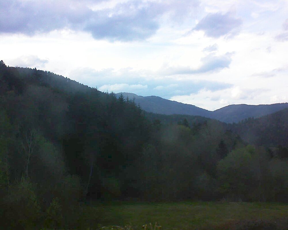 Le petit ballon (Alsace, Vosges) le 13.04.2025 à 18:45