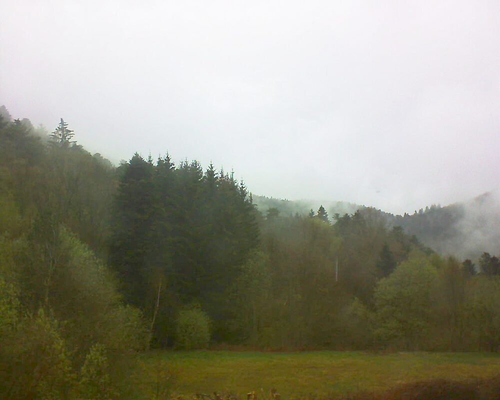 Le petit ballon (Alsace, Vosges) le 15.04.2025 à 13:45