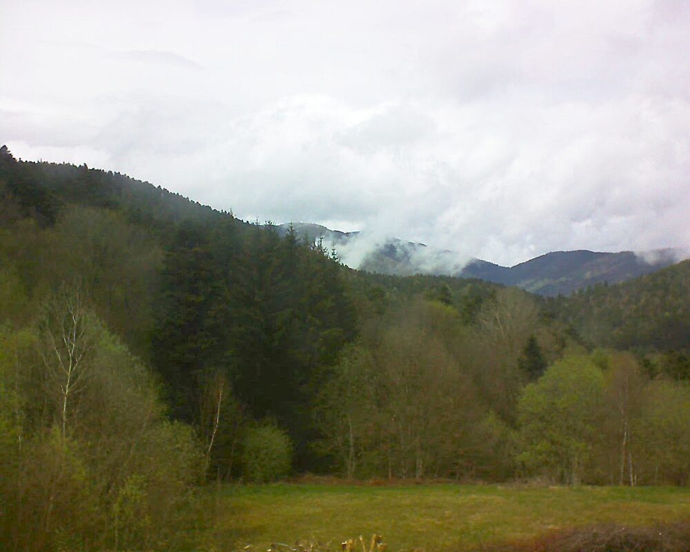 Le petit ballon (Alsace, Vosges) le 15.04.2025 à 15:00