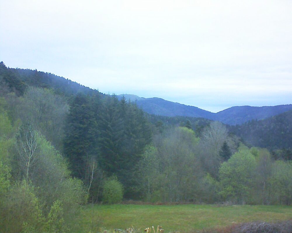 Le petit ballon vu depuis le Domaine Langmatt à Murbach le 16.04.2025 à 10:15 Le petit ballon (Alsace, Vosges) le 16.04.2025 à 10:15