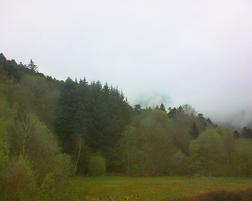 Le petit ballon (Alsace, Vosges) le 16.04.2025 à 18:30