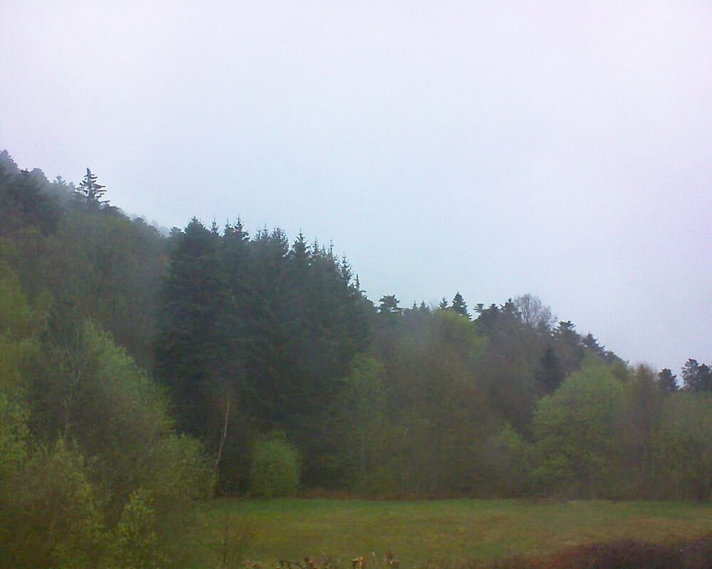 Le petit ballon (Alsace, Vosges) le 16.04.2025 à 19:30