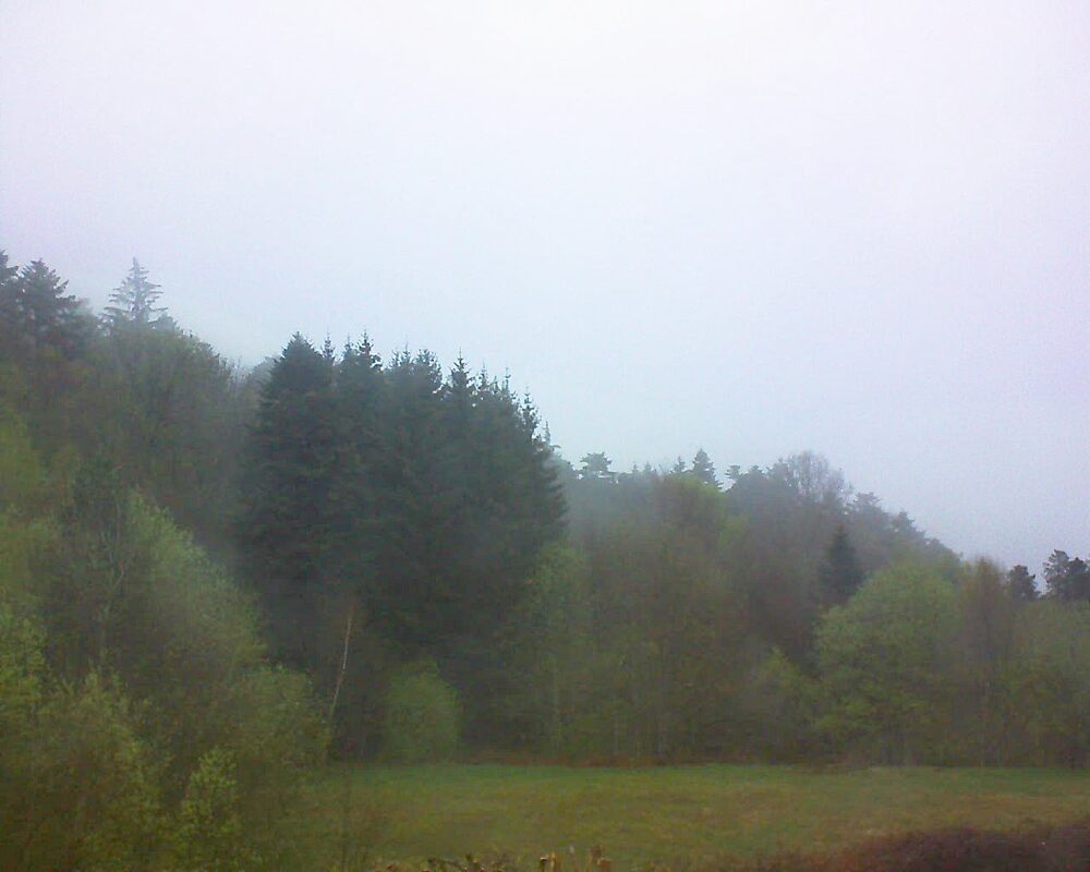 Le petit ballon (Alsace, Vosges) le 16.04.2025 à 19:45
