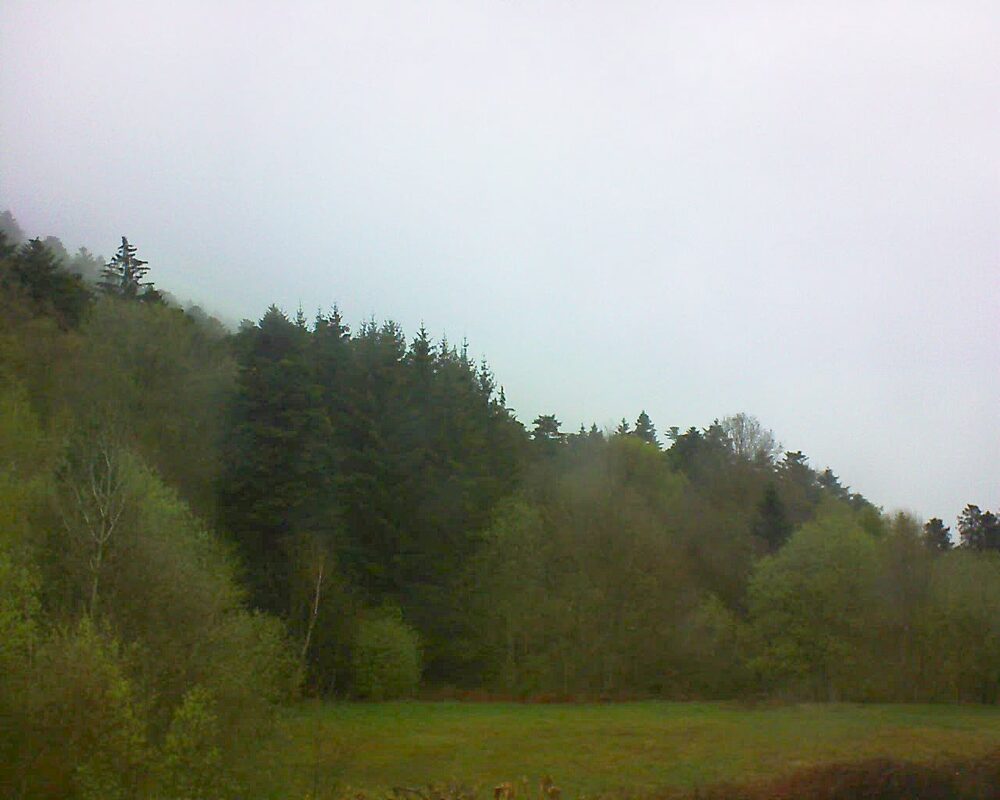 Le petit ballon (Alsace, Vosges) le 17.04.2025 à 18:45