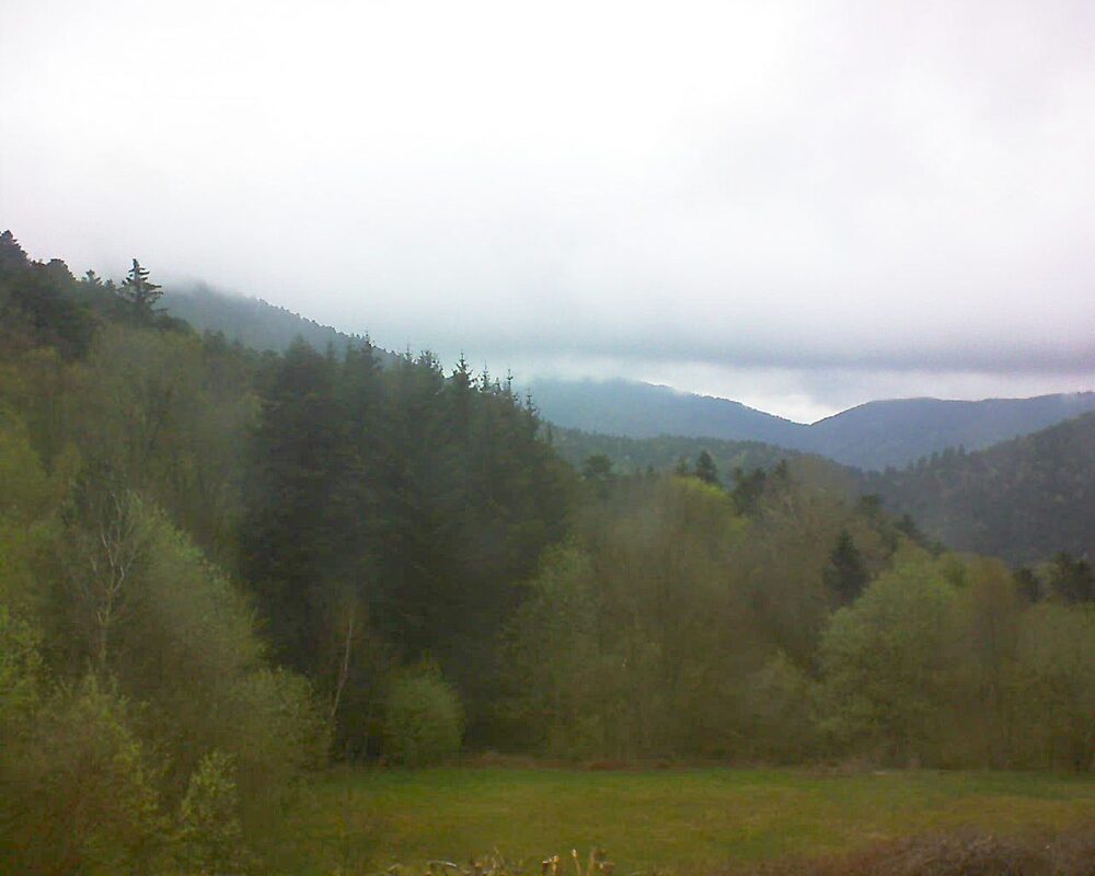 Le petit ballon (Alsace, Vosges) le 18.04.2025 à 16:45