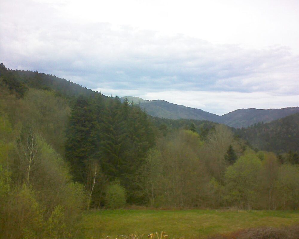 Le petit ballon (Alsace, Vosges) le 19.04.2025 à 13:45