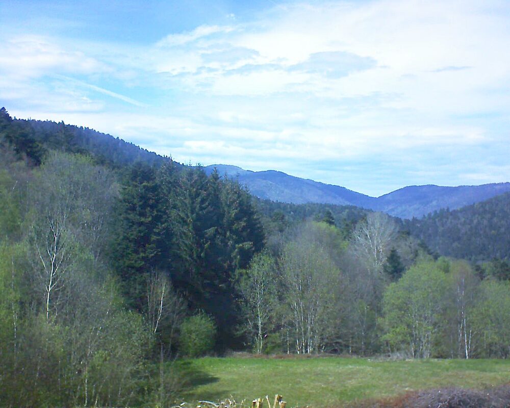 Le petit ballon vu depuis le Domaine Langmatt à Murbach le 19.04.2025 à 15:45 Le petit ballon (Alsace, Vosges) le 19.04.2025 à 15:45