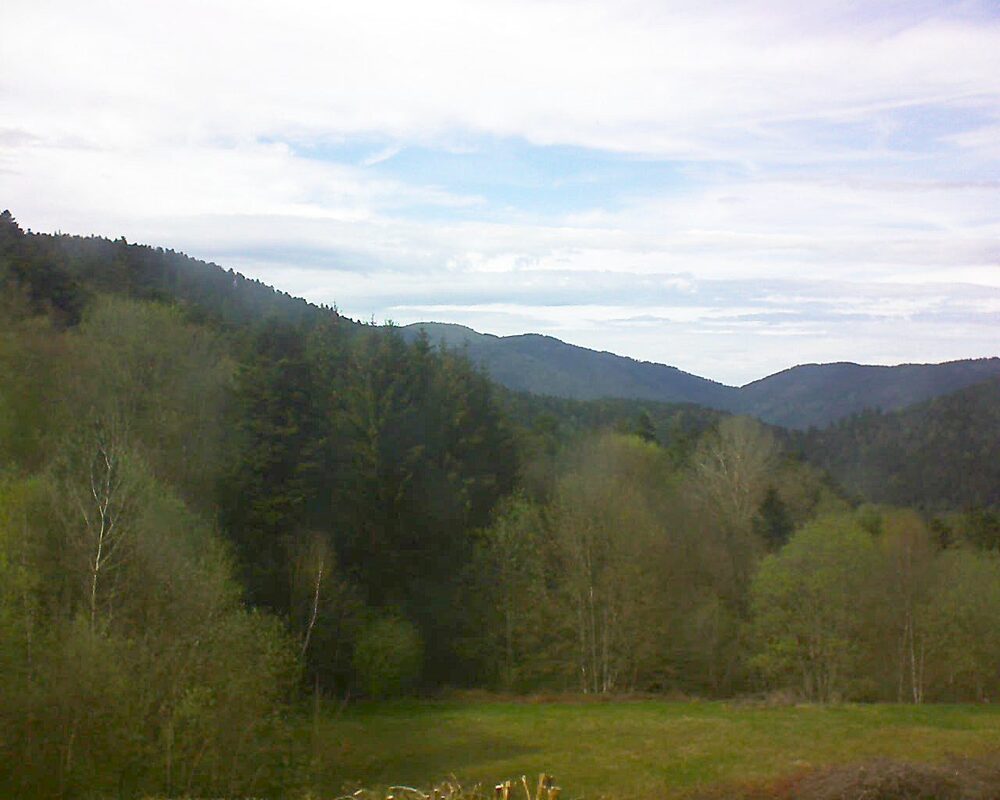 Le petit ballon (Alsace, Vosges) le 19.04.2025 à 16:30