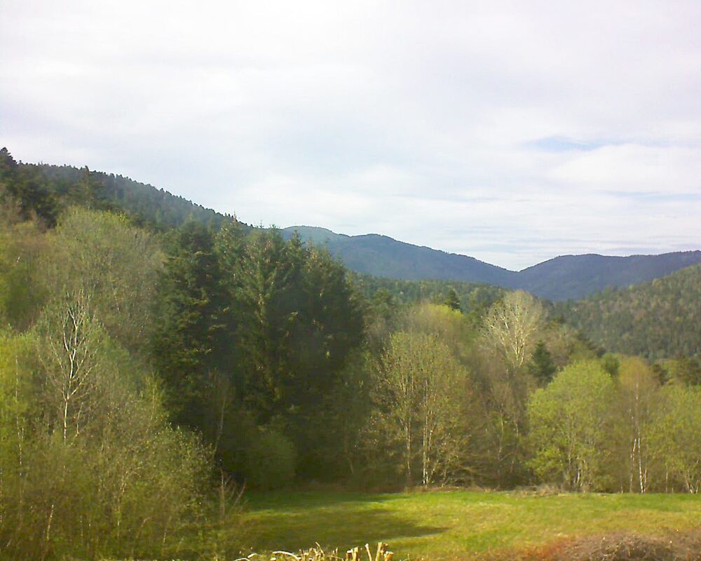 Le petit ballon vu depuis le Domaine Langmatt à Murbach le 19.04.2025 à 17:00 Le petit ballon (Alsace, Vosges) le 19.04.2025 à 17:00