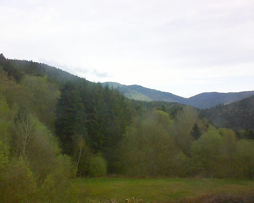 Le petit ballon (Alsace, Vosges) le 20.04.2025 à 08:15