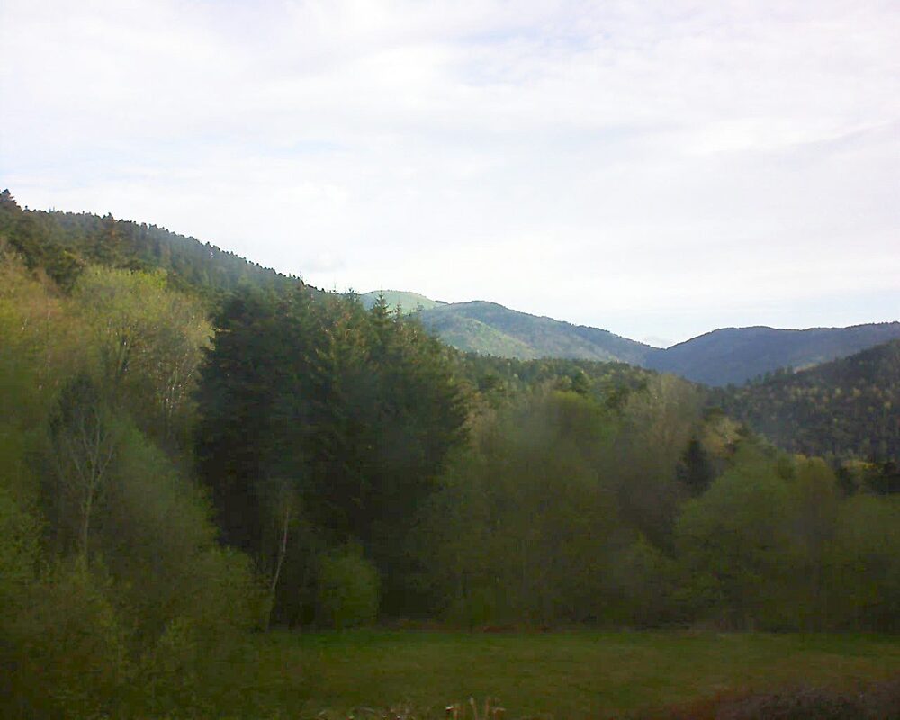 Le petit ballon (Alsace, Vosges) le 20.04.2025 à 08:30