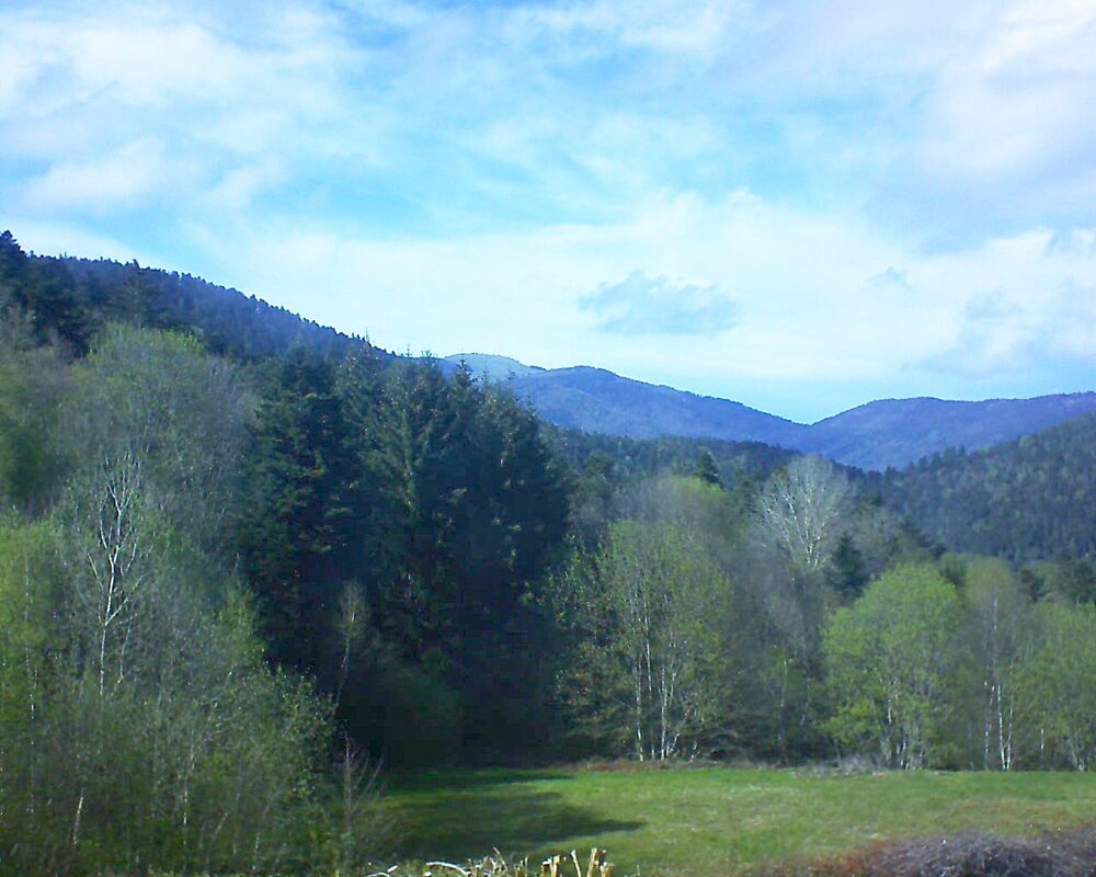 Le petit ballon (Alsace, Vosges) le 20.04.2025 à 16:45