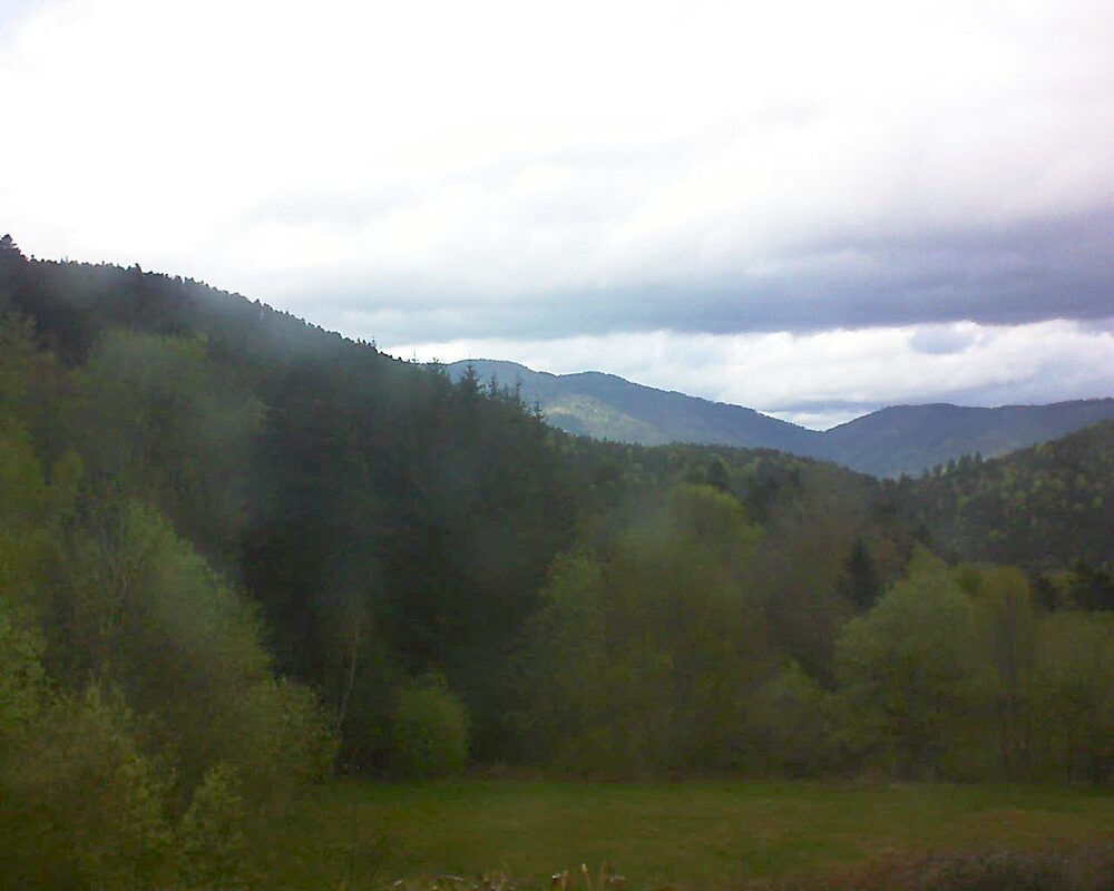 Le petit ballon (Alsace, Vosges) le 21.04.2025 à 17:30