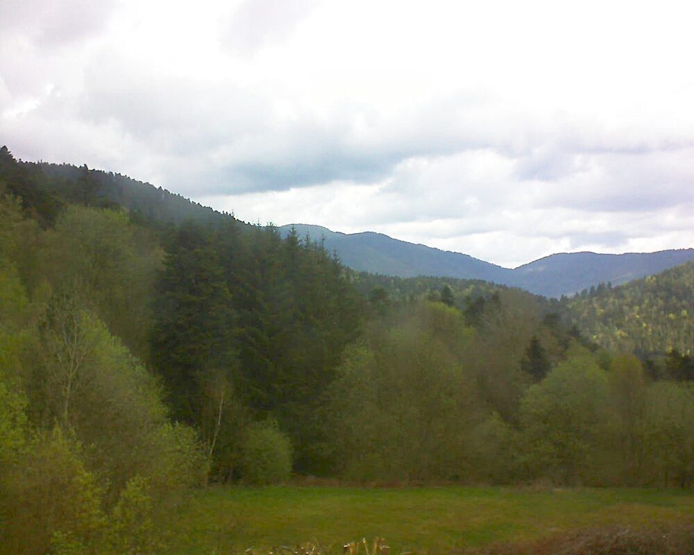 Le petit ballon vu depuis le Domaine Langmatt à Murbach le 22.04.2025 à 11:30 Le petit ballon (Alsace, Vosges) le 22.04.2025 à 11:30