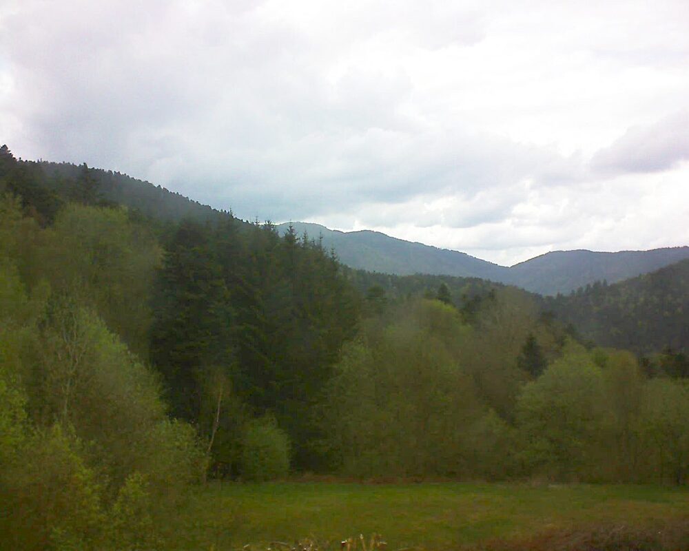 Le petit ballon (Alsace, Vosges) le 22.04.2025 à 14:30