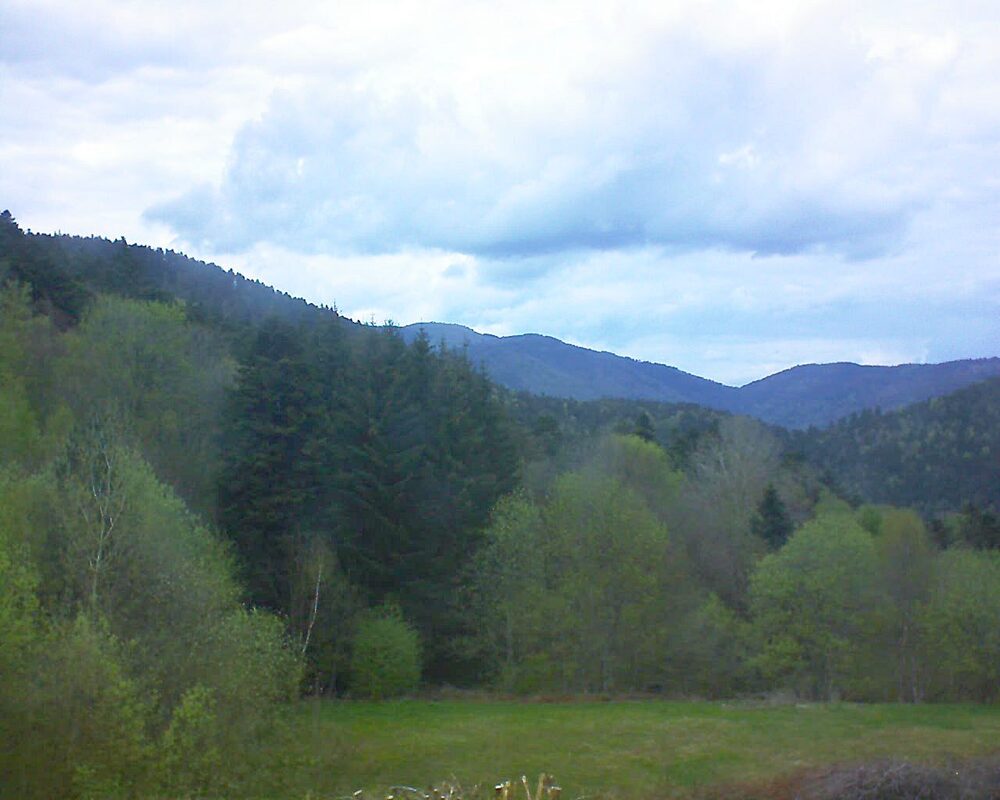 Le petit ballon (Alsace, Vosges) le 22.04.2025 à 16:30