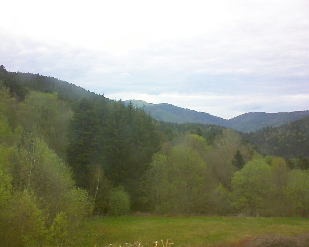Le petit ballon (Alsace, Vosges) le 22.04.2025 à 18:30