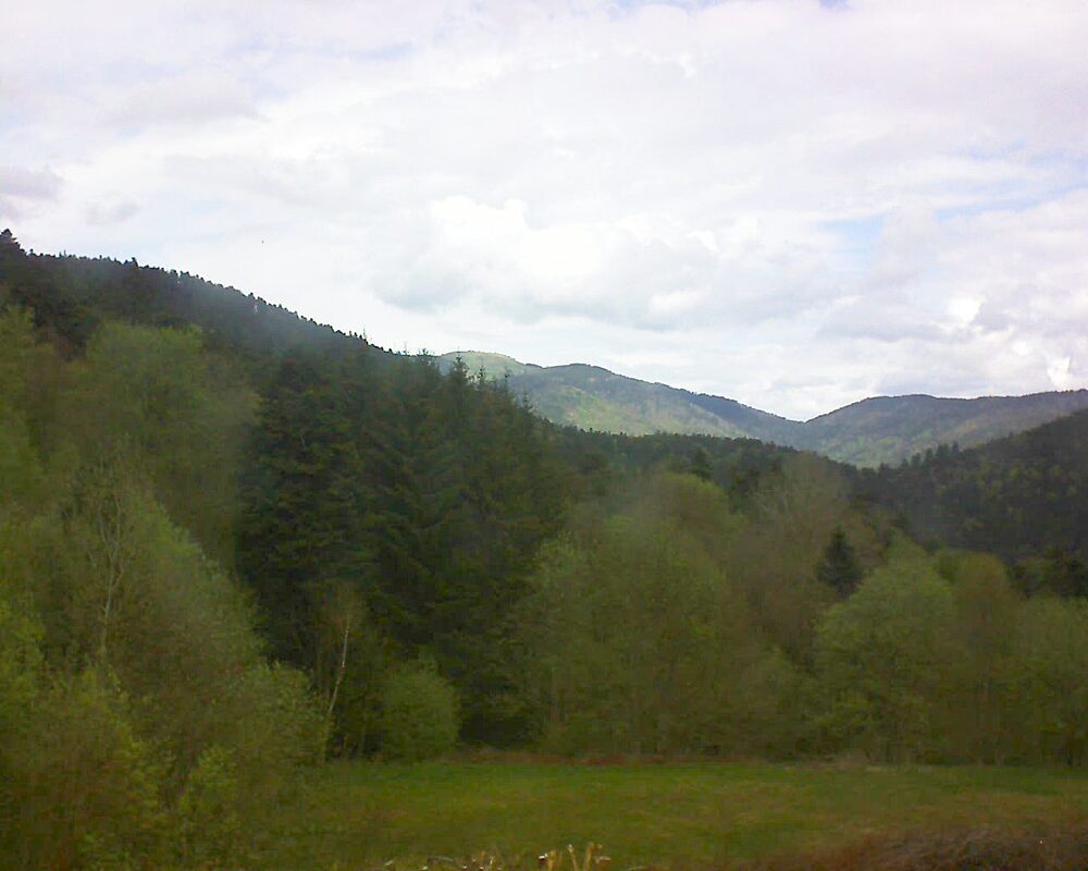 Le petit ballon vu depuis le Domaine Langmatt à Murbach le 23.04.2025 à 11:45 Le petit ballon (Alsace, Vosges) le 23.04.2025 à 11:45