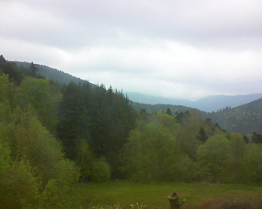 Le petit ballon (Alsace, Vosges) le 26.04.2025 à 17:45