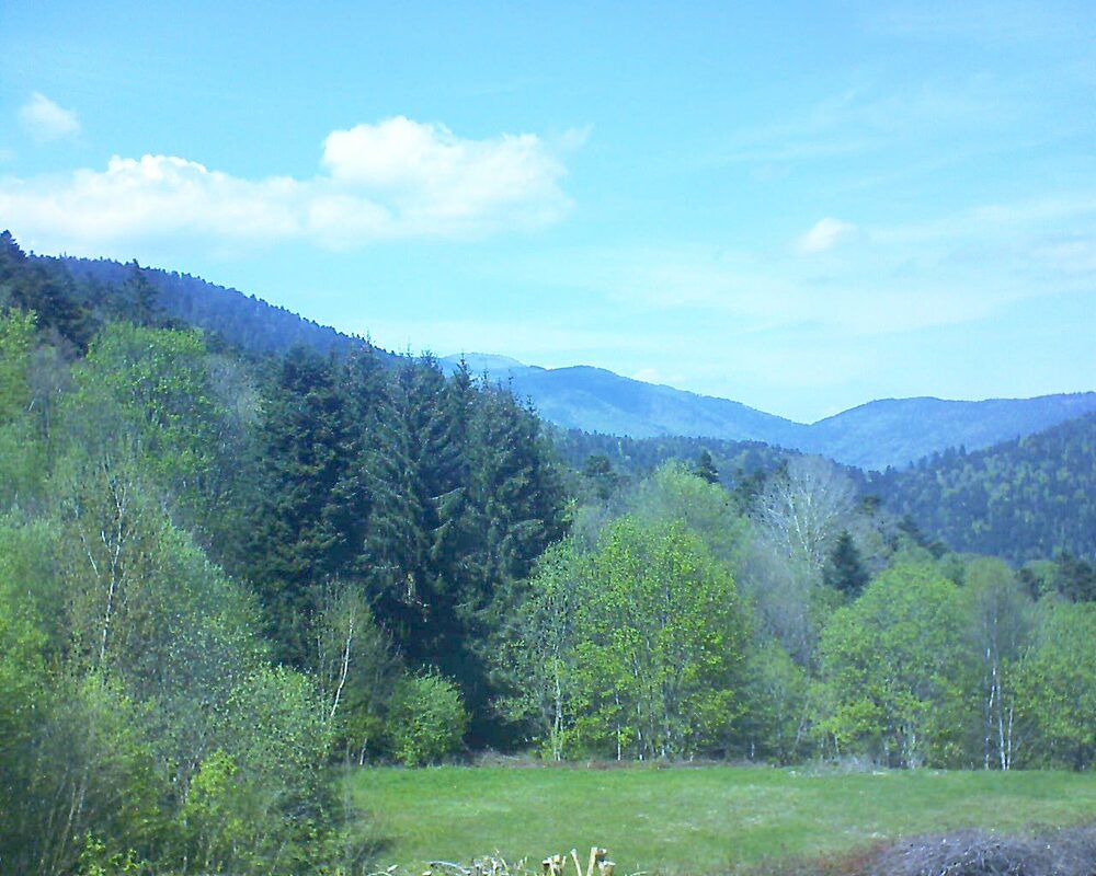Le petit ballon vu depuis le Domaine Langmatt à Murbach le 27.04.2025 à 14:45 Le petit ballon (Alsace, Vosges) le 27.04.2025 à 14:45