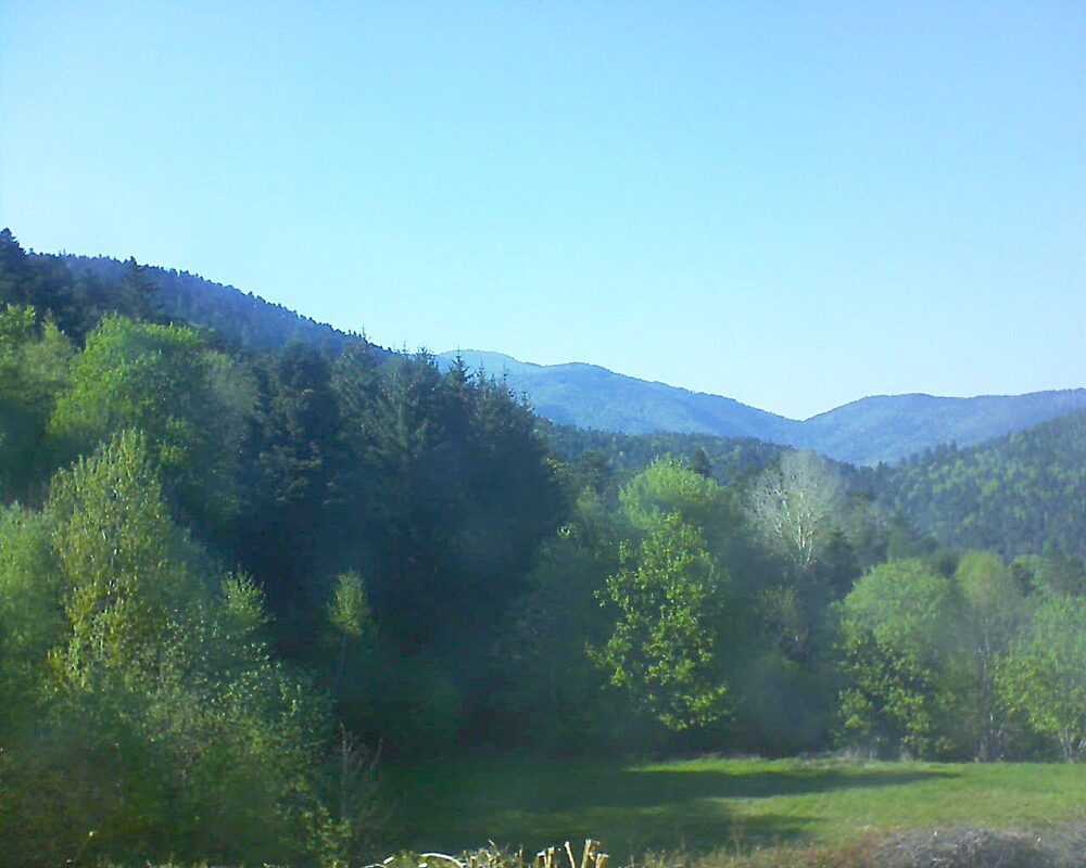 Le petit ballon vu depuis le Domaine Langmatt à Murbach le 29.04.2025 à 17:45 Le petit ballon (Alsace, Vosges) le 29.04.2025 à 17:45