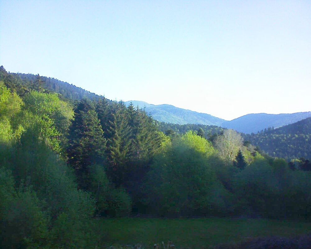 Le petit ballon (Alsace, Vosges) le 30.04.2025 à 08:15