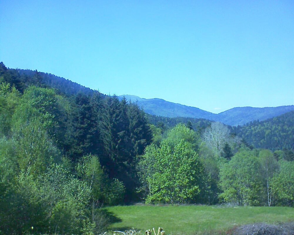 Le petit ballon (Alsace, Vosges) le 30.04.2025 à 15:45