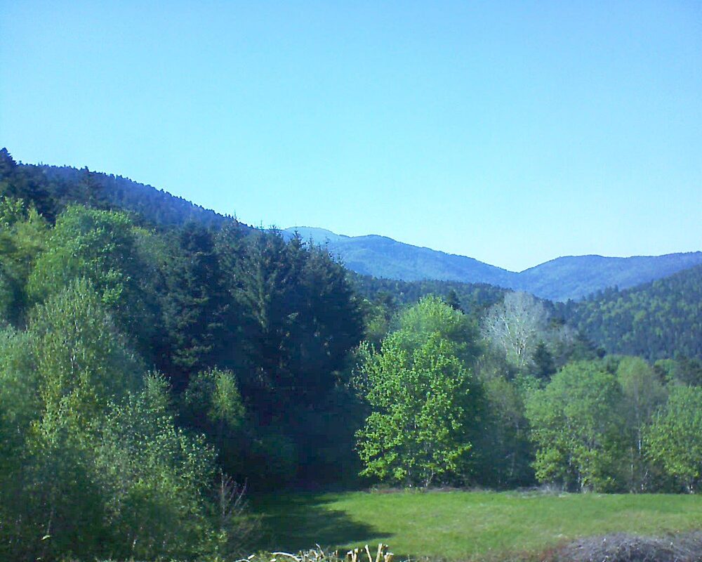 Le petit ballon (Alsace, Vosges) le 30.04.2025 à 16:45