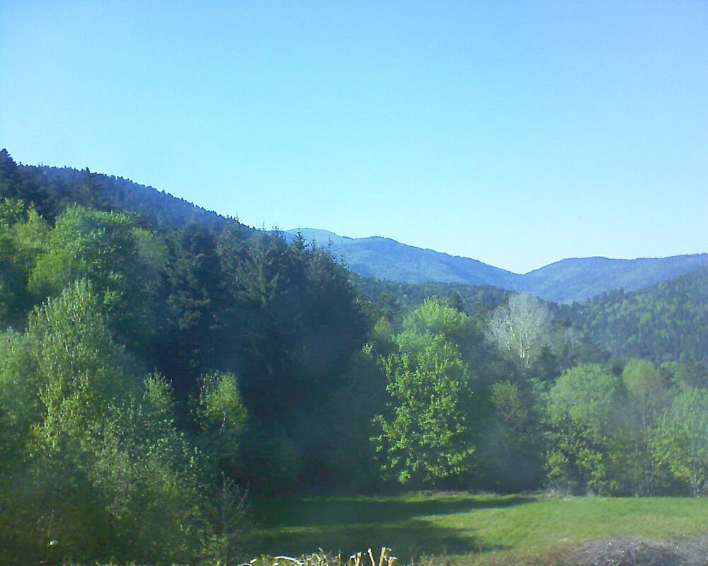 Le petit ballon (Alsace, Vosges) le 30.04.2025 à 17:30
