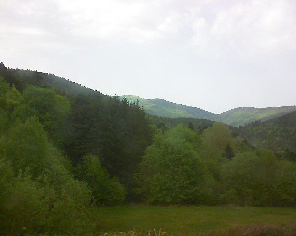 Le petit ballon (Alsace, Vosges) le 02.05.2025 à 17:15