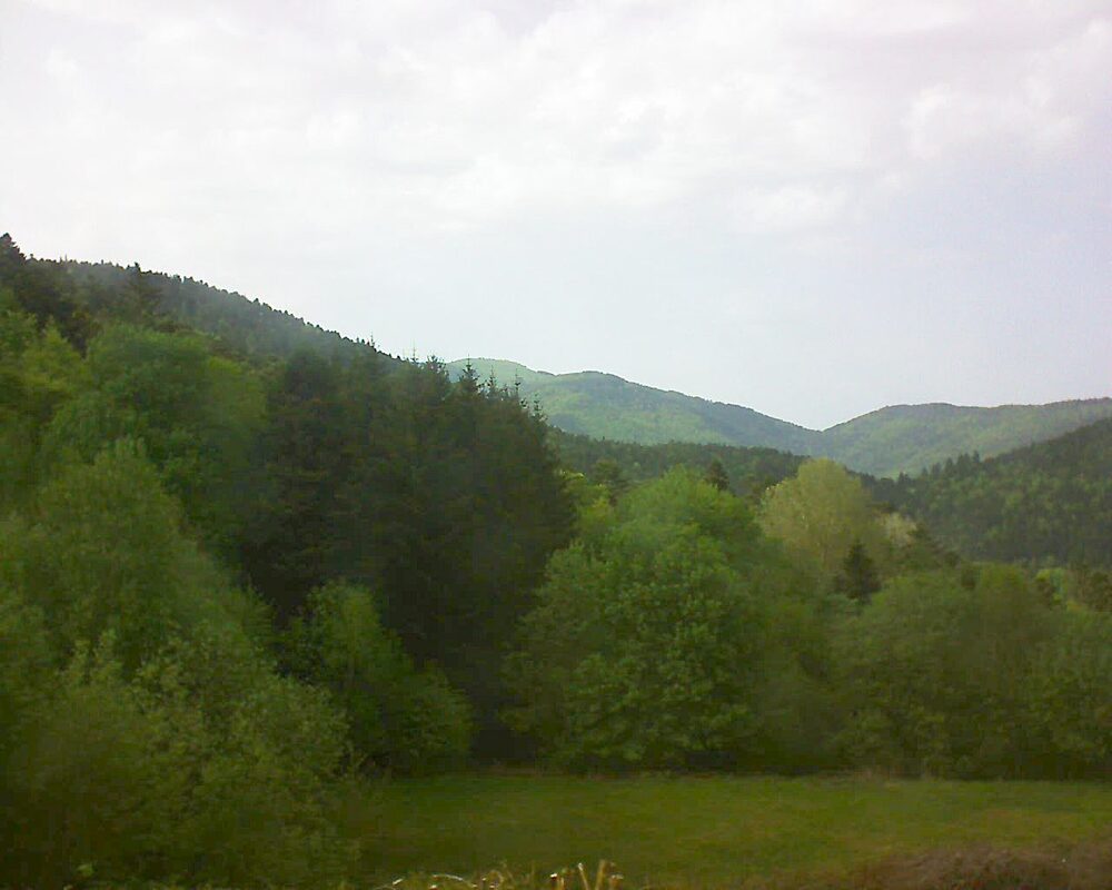 Le petit ballon (Alsace, Vosges) le 02.05.2025 à 17:30